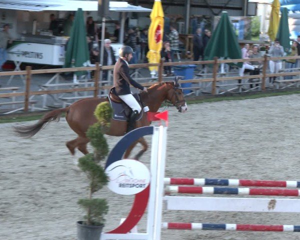 Reitturnier Kirchhellen/Stall Dieckmann 2025