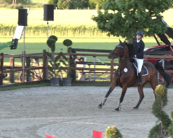 Reitturnier Kirchhellen/Stall Dieckmann 2025