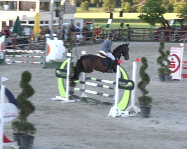 Reitturnier Kirchhellen/Stall Dieckmann 2025