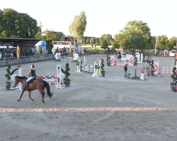 Reitturnier Kirchhellen/Stall Dieckmann 2025