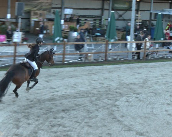 Reitturnier Kirchhellen/Stall Dieckmann 2025
