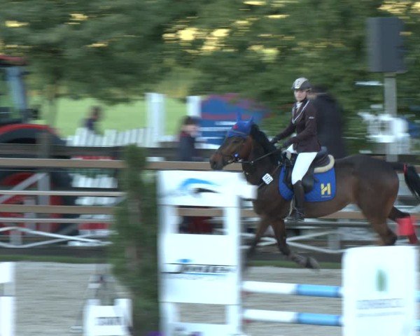 Reitturnier Kirchhellen/Stall Dieckmann 2025