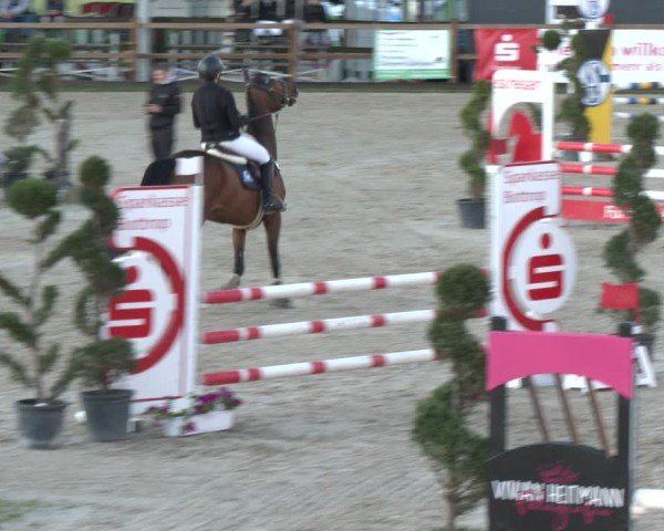 Reitturnier Kirchhellen/Stall Dieckmann 2025
