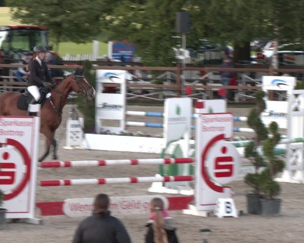 Reitturnier Kirchhellen/Stall Dieckmann 2025