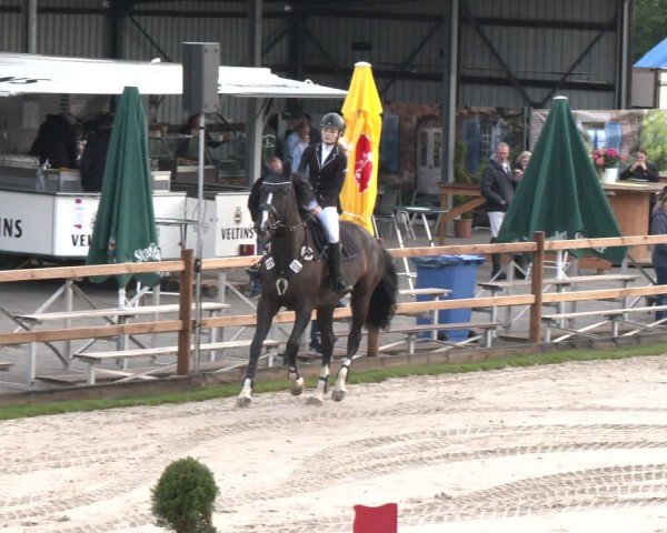 Reitturnier Kirchhellen/Stall Dieckmann 2025