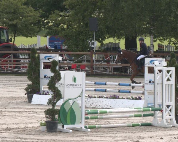 Reitturnier Kirchhellen/Stall Dieckmann 2025