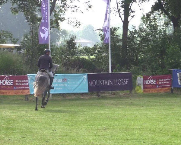 Reitturnier Scharnebeck 2025