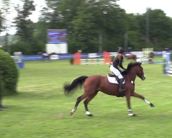 Reitturnier Scharnebeck 2025