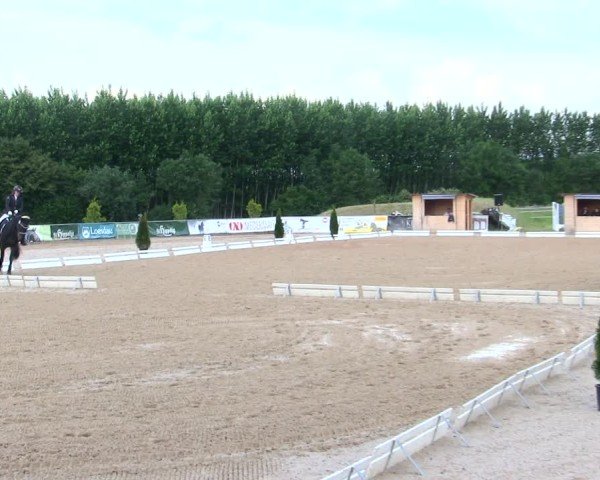 Reitturnier Münster/Ndb. 2025