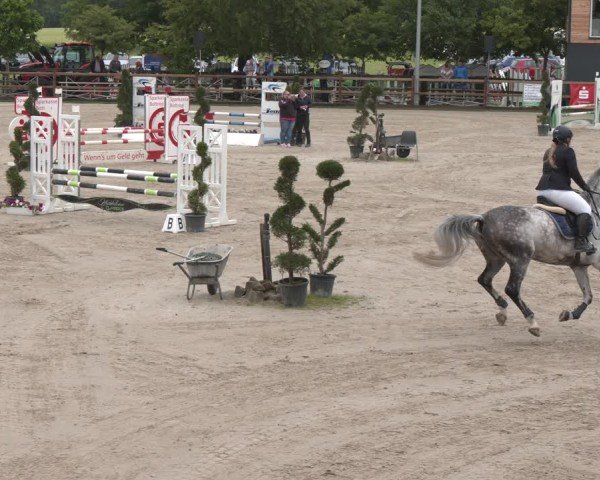 Reitturnier Kirchhellen/Stall Dieckmann 2025