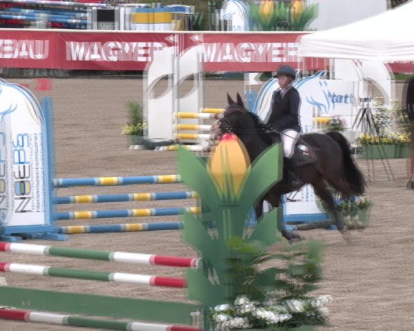 Reitturnier Lassee 2025