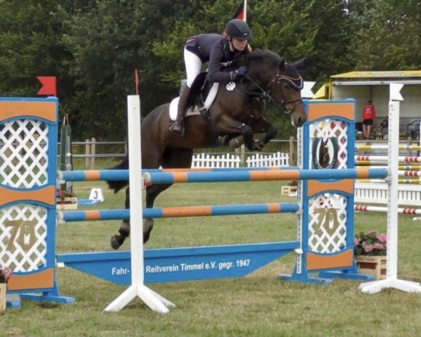 broodmare Lollipop WE (German Riding Pony, 2009, from Henry)