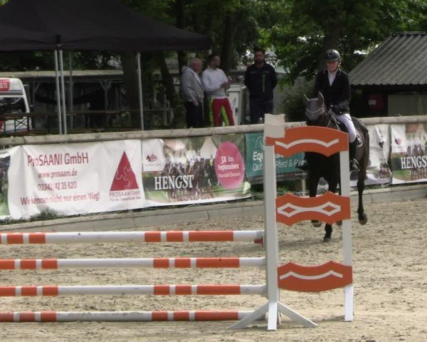 Reitturnier Ruhlsdorf 2025