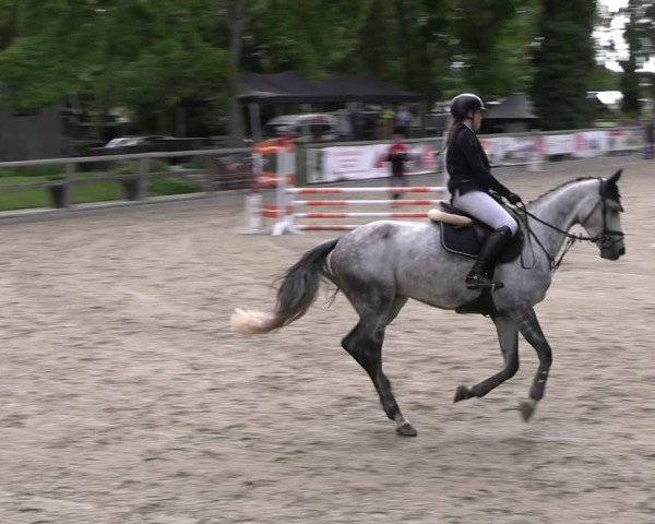 Reitturnier Ruhlsdorf 2025