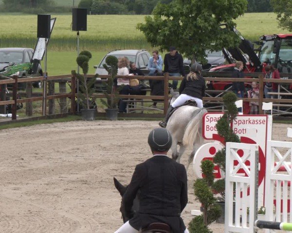 Reitturnier Kirchhellen/Stall Dieckmann 2025