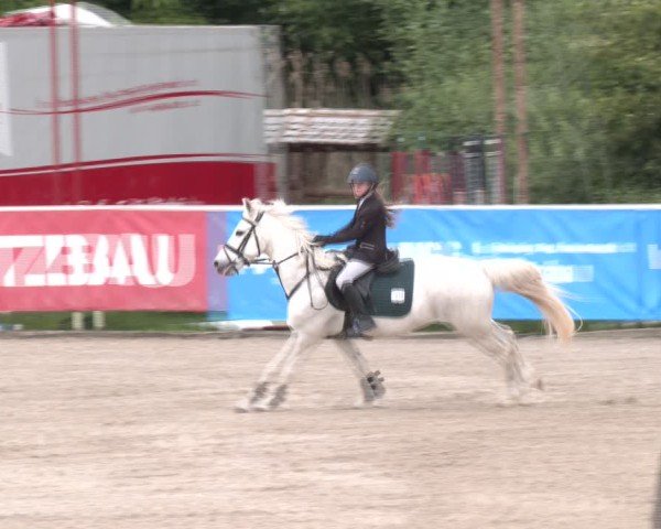 Reitturnier Lassee 2025