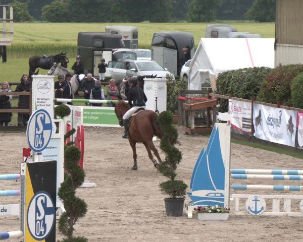 Reitturnier Kirchhellen/Stall Dieckmann 2025