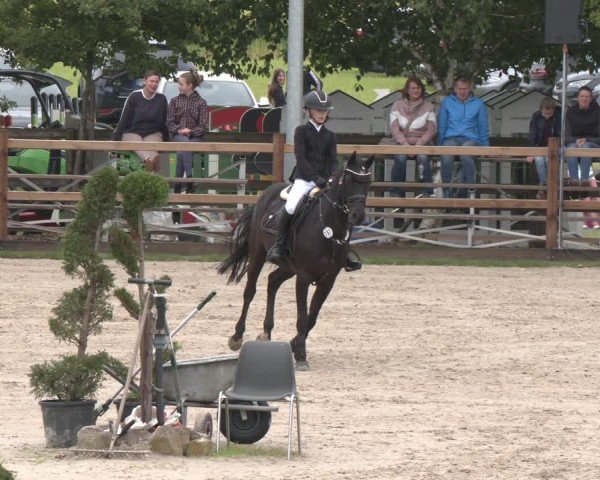 Reitturnier Kirchhellen/Stall Dieckmann 2025