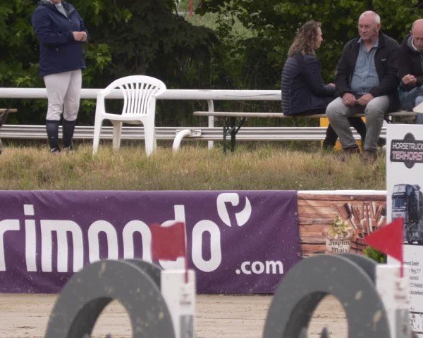 Reitturnier Bornheim-Widdig 2025