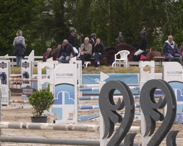 Reitturnier Bornheim-Widdig 2025