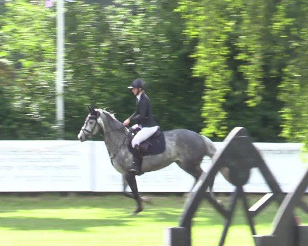 Reitturnier Scharnebeck 2025
