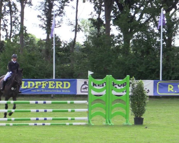 Reitturnier Scharnebeck 2025