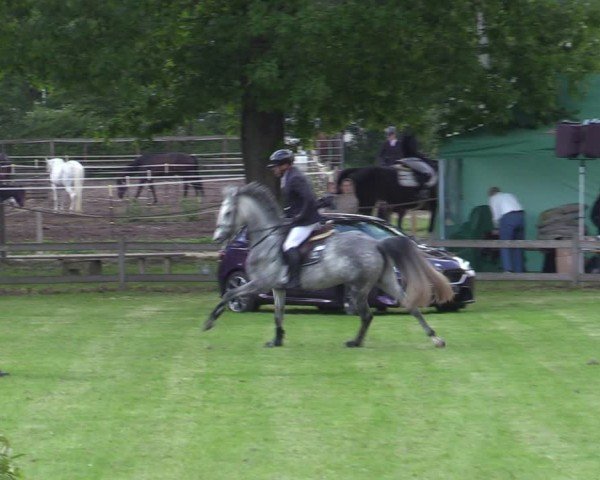 Reitturnier Scharnebeck 2025
