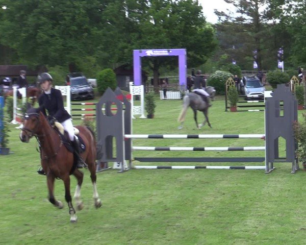 Reitturnier Scharnebeck 2025
