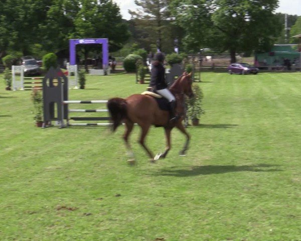Reitturnier Scharnebeck 2025