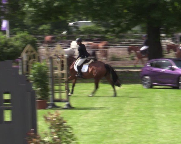 Reitturnier Scharnebeck 2025
