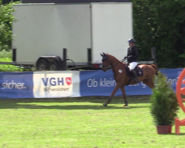 Reitturnier Scharnebeck 2025