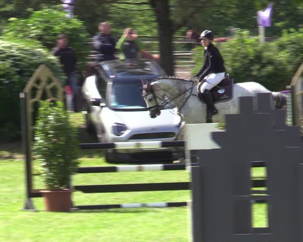 Reitturnier Scharnebeck 2025