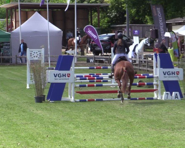 Reitturnier Scharnebeck 2025