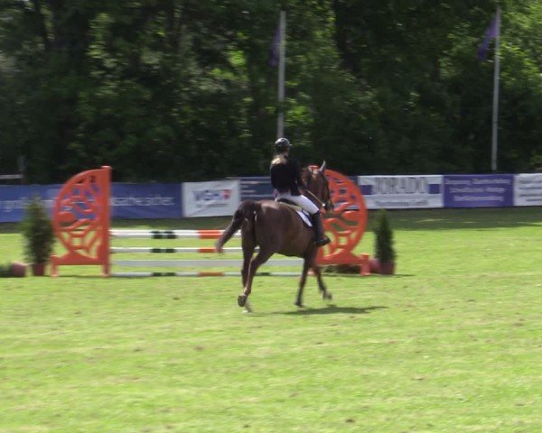 Reitturnier Scharnebeck 2025