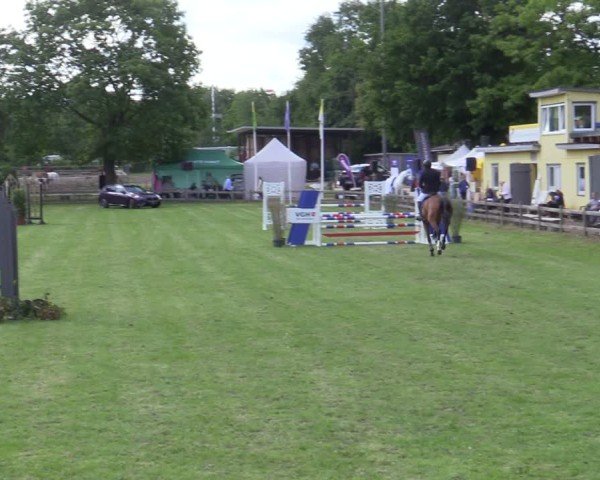 Reitturnier Scharnebeck 2025