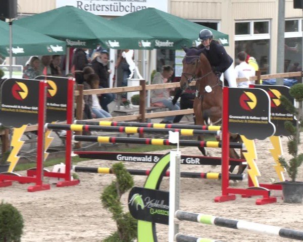 Reitturnier Kirchhellen/Stall Dieckmann 2025