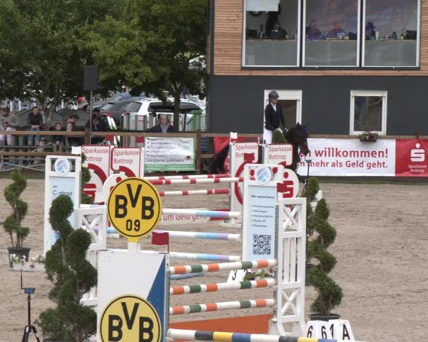 Reitturnier Kirchhellen/Stall Dieckmann 2025