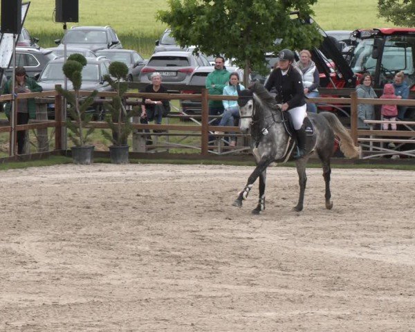 Reitturnier Kirchhellen/Stall Dieckmann 2025