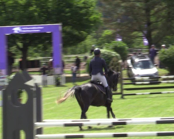 Reitturnier Scharnebeck 2025