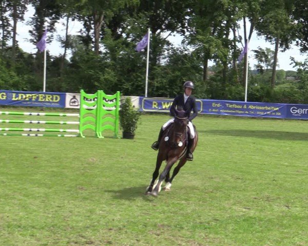 Reitturnier Scharnebeck 2025