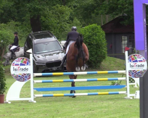 Reitturnier Scharnebeck 2025