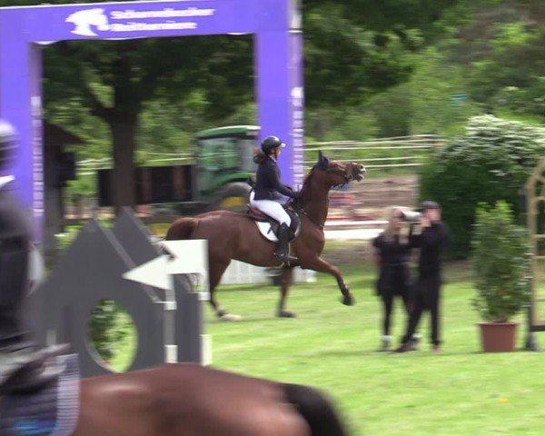 Reitturnier Scharnebeck 2025