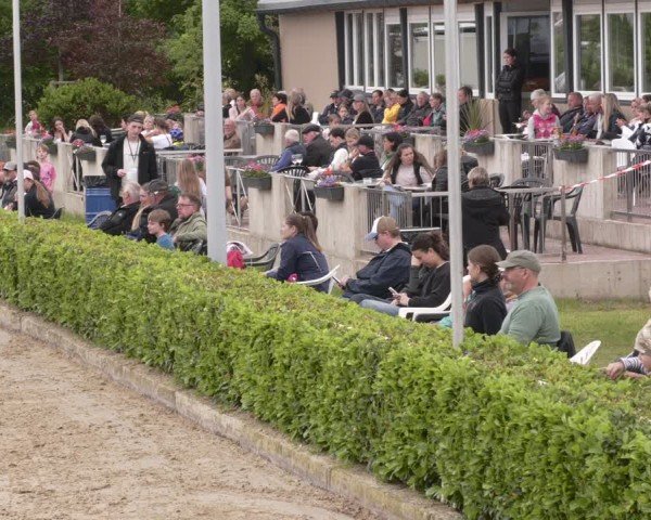 Reitturnier Bornheim-Widdig 2025