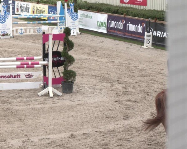 Reitturnier Kirchhellen/Stall Dieckmann 2025