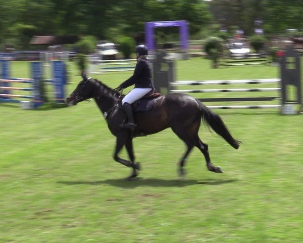 Reitturnier Scharnebeck 2025
