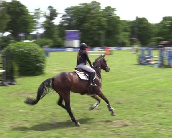 Reitturnier Scharnebeck 2025