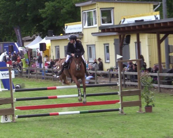 Reitturnier Scharnebeck 2025