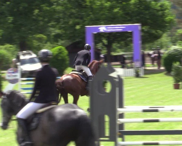 Reitturnier Scharnebeck 2025