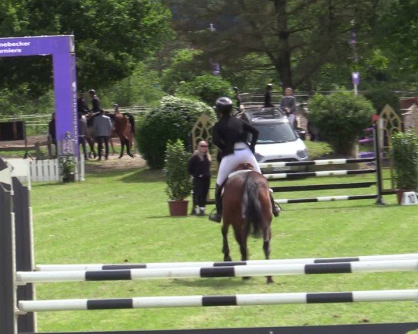 Reitturnier Scharnebeck 2025