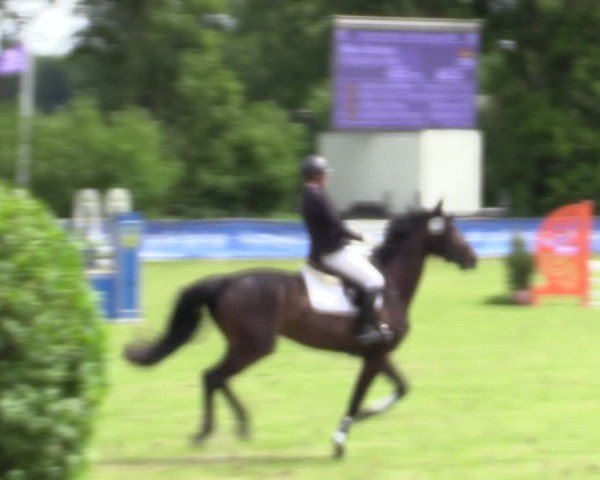 Reitturnier Scharnebeck 2025